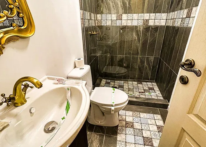 Boutique Casa Vermont Affittacamere Bucarest