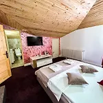 ゲストハウス Boutique Casa Vermont ブカレスト