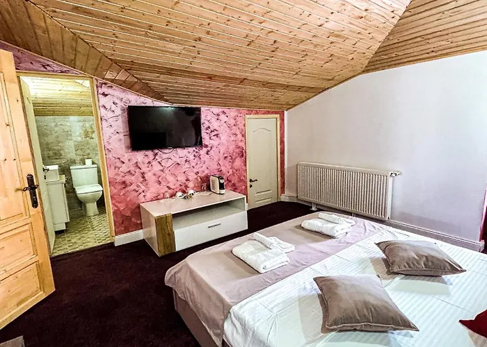 Maison d'hôtes Boutique Casa Vermont Bucarest